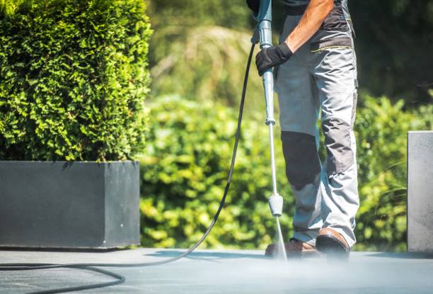 Best Pre-Holiday Cleaning  in Buckhorn, CA