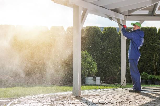 Spring Cleaning in Buckhorn, CA